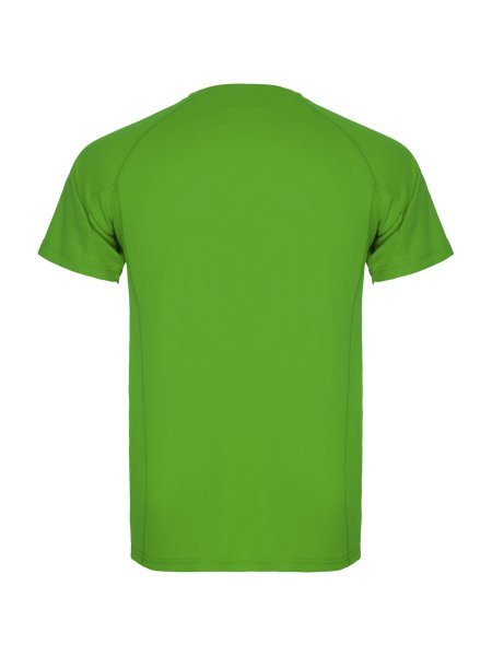 roly-montecarlo-kurzarmeliges-sport-t-shirt-fur-herren-polyester-150-g-m2-green-fern-95.jpg