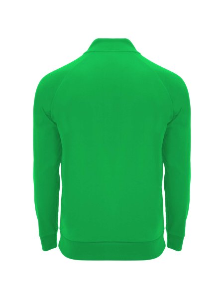 r11151b-m2-green-fern-35.jpg