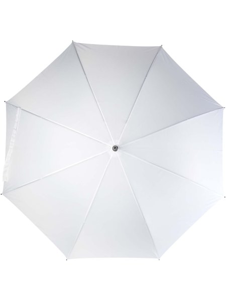ibi-27-weiss-7.jpg