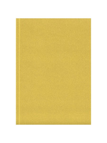 novella-austen-a5-softcover-notizbuch-gold-46.jpg