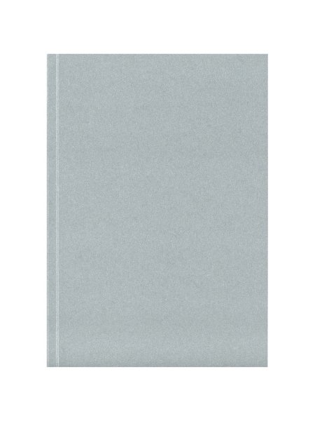 novella-austen-a5-softcover-notizbuch-silber-51.jpg