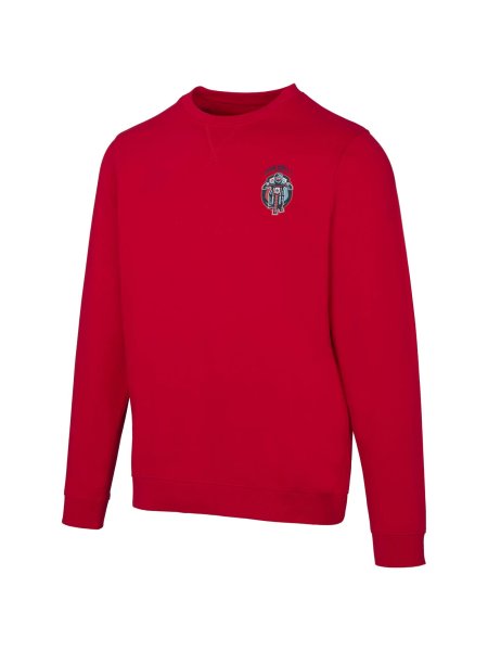 bedruckte-pullover-jasper-rundhals-280-g-m2-bio-baumwolle-ocs-recycelt-unisex-rot-24.jpg